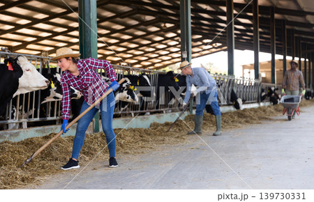 Female farmer working in stall, feeding cows 139730331