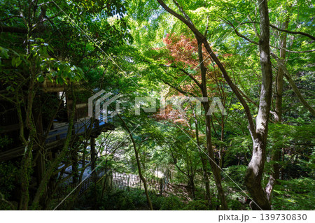 兵庫県姫路市 書写山圓教寺 兵庫県姫路市 書写山圓教寺 139730830