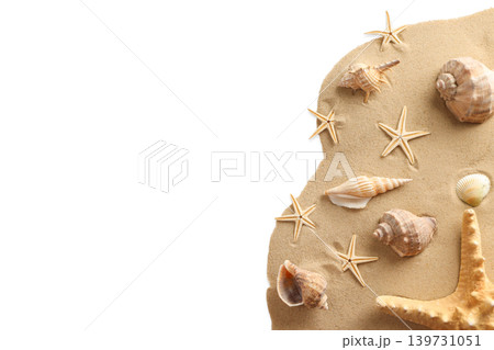 Beach treasures: seashells and starfish on sand, PNG Beach treasures: seashells and starfish on sand, PNG 139731051