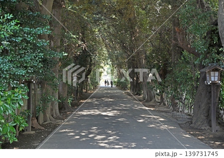 岩槻散歩:久伊豆神社 参道 岩槻散歩:久伊豆神社 参道 139731745