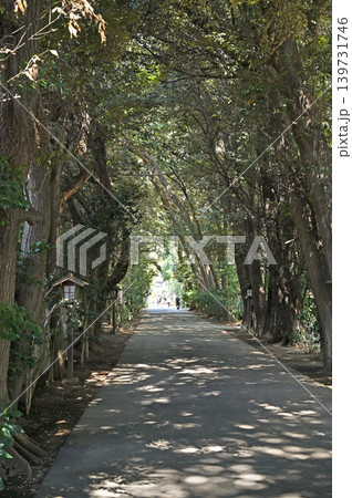 岩槻散歩:久伊豆神社 参道 岩槻散歩:久伊豆神社 参道 139731746
