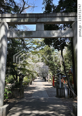 岩槻散歩:久伊豆神社 参道 岩槻散歩:久伊豆神社 参道 139731747
