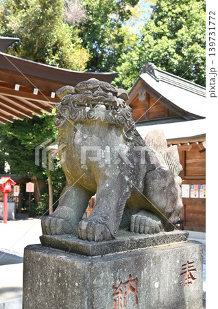 岩槻散歩：久伊豆神社　狛犬 139731772