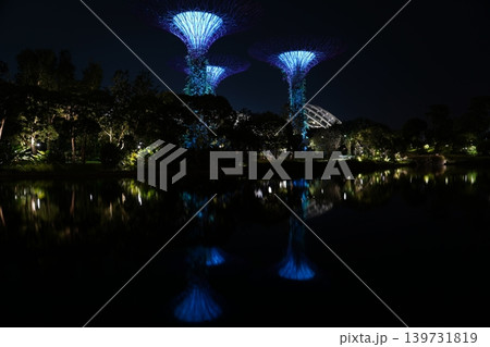 Gardens by the Bay Singapore Night Photography Gardens by the Bay Singapore Night Photography 139731819