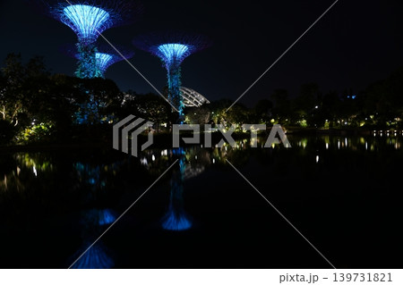 Gardens by the Bay Singapore at Night Landscape View Gardens by the Bay Singapore at Night Landscape View 139731821