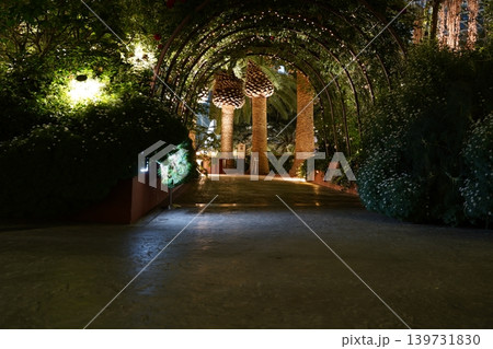 Night Garden Pathway with Lights and Palm Trees 139731830