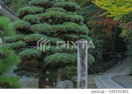 京都府八幡市に所在する臨済宗円福寺の托鉢僧を撮影したもの 京都府八幡市に所在する臨済宗円福寺の托鉢僧を撮影したもの 139732461
