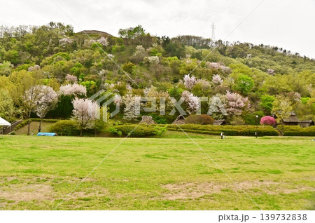 科野の里歴史公園の春の風景 科野の里歴史公園の春の風景 139732838