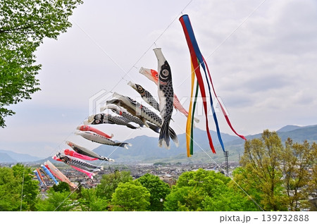 稲荷山公園の五月の空を泳ぐ鯉のぼり 稲荷山公園の五月の空を泳ぐ鯉のぼり 139732888