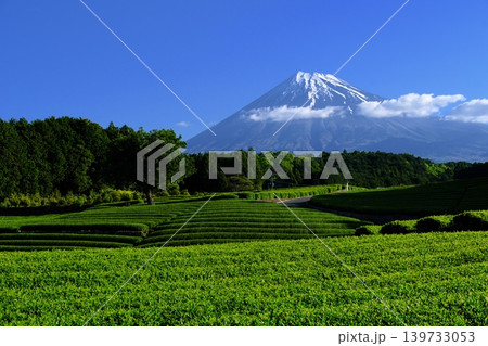 静岡県富士市の大渕笹場から望む富士山と美しい茶畑の絶景。新緑の茶園が広がる日本を象徴する景勝地。 静岡県富士市の大渕笹場から望む富士山と美しい茶畑の絶景。新緑の茶園が広がる日本を象徴する景勝地。 139733053