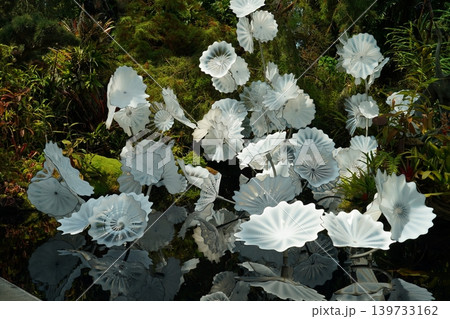 Glass Art Installation Reflections in Water Garden 139733162