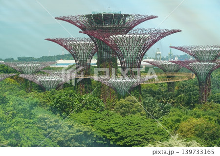 Gardens by the Bay Singapore Supertrees Scenery View Gardens by the Bay Singapore Supertrees Scenery View 139733165