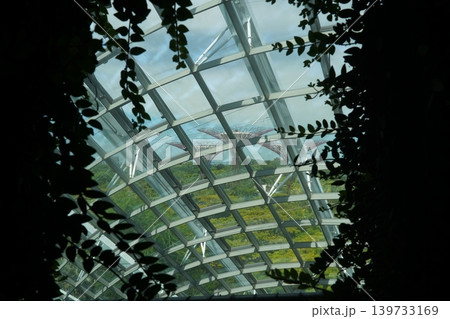 Gardens by the Bay Singapore Through Glass Roof View Gardens by the Bay Singapore Through Glass Roof View 139733169