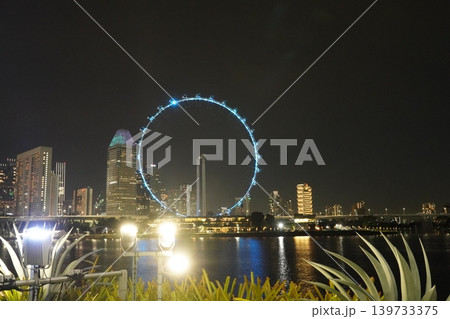 Singapore Flyer at Night City Skyline Scenery Singapore Flyer at Night City Skyline Scenery 139733375