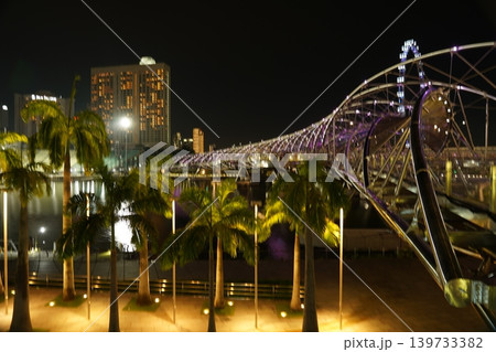 Singapore Helix Bridge and Palm Trees at Night Singapore Helix Bridge and Palm Trees at Night 139733382