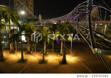 Night View of Helix Bridge and Palm Trees in Singapore Night View of Helix Bridge and Palm Trees in Singapore 139733383