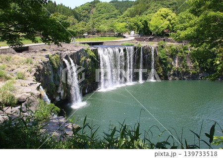 5月新緑の原尻の滝 5月新緑の原尻の滝 139733518