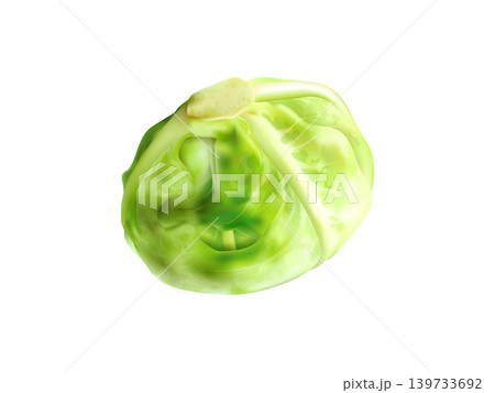 Cabbage fresh vegetable 3d realistic design Cabbage fresh vegetable 3d realistic design 139733692