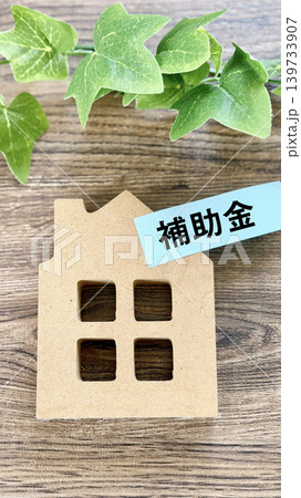 家小物に補助金文字入り付箋_縦 139733907