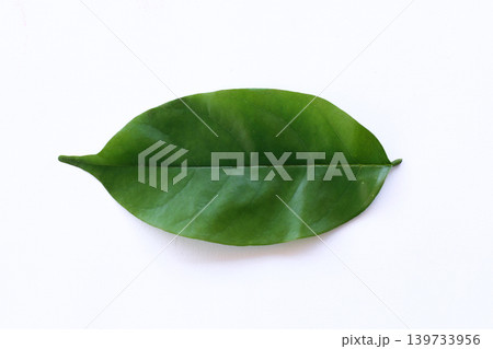 Bright Green Leaf Isolated on Clean White Background for Nature Concepts 139733956