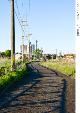 田舎道と柵のシルエット 139734022