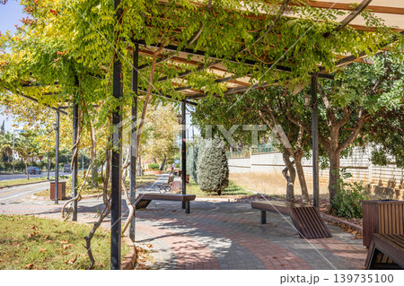 Park walkway with benches and green trellis structure in urban setting 139735100
