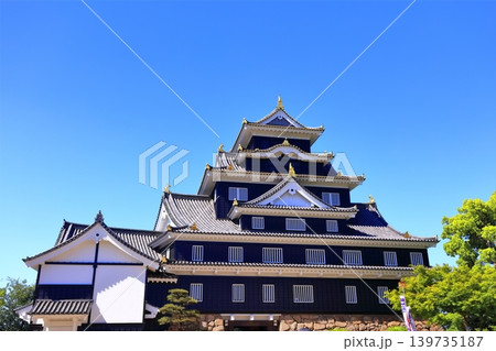 【岡山県】春の岡山城(春の鳥城灯源郷) 【岡山県】春の岡山城(春の鳥城灯源郷) 139735187