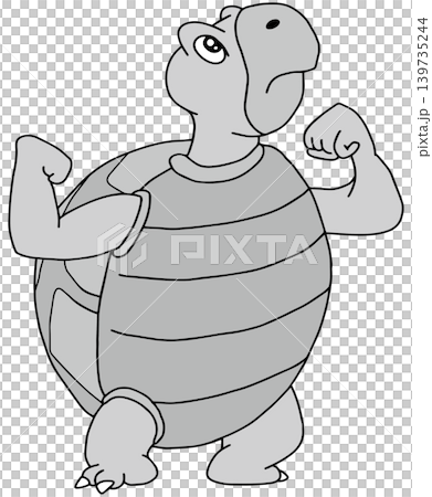 手書き動物イラスト☆カメさん 手書き動物イラスト☆カメさん 139735244