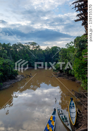 Canoes on the calm waters of Cuyabeno Reserve, Ecuador 139735370
