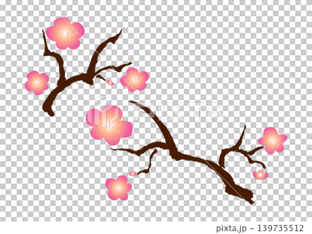 Umeeda 139735512
