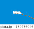 青空の日に木の枝に止まっている3羽のシマエナガのイラスト 139736046