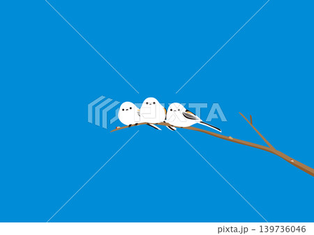 青空の日に木の枝に止まっている3羽のシマエナガのイラスト 青空の日に木の枝に止まっている3羽のシマエナガのイラスト 139736046