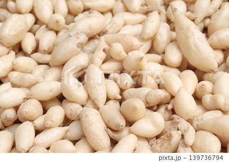 Birjo Moni, Birjo Mul root on shop for sell are cash crops 139736794