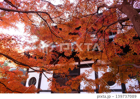 紅葉に包まれた寺院 紅葉に包まれた寺院 139737089