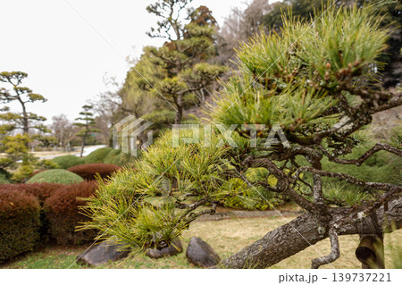 綺麗な日本的な庭園の風景 綺麗な日本的な庭園の風景 139737221