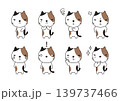 ぶち猫ポーズ集 139737466