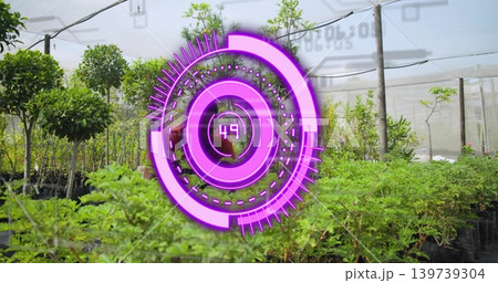 Hovering magenta circular AR graphic showing 49, overlaying shade greenhouse rows with black pots 139739304
