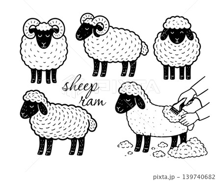 Sheep and ram set. Hand drawn. Not AI, vector illustration. 139740682