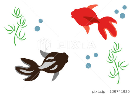 水中を泳ぐ赤と黒の金魚のイラスト 水中を泳ぐ赤と黒の金魚のイラスト 139741920