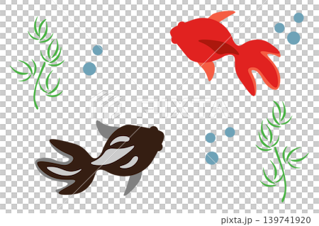 An illustration of red and black goldfish swimming underwater. An illustration of red and black goldfish swimming underwater. 139741920