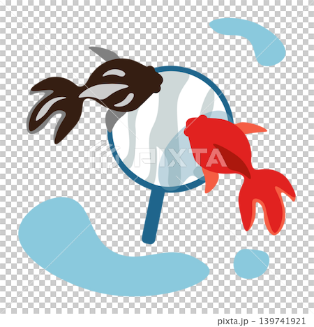 金魚すくいをイメージしたイラスト 金魚すくいをイメージしたイラスト 139741921