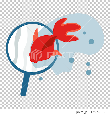 金魚すくいでポイにのった赤い金魚のイラスト 139741922