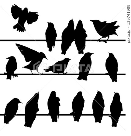 Silhouette of starlings on wires. Hand drawn. Not AI, vector illustration. 139741989