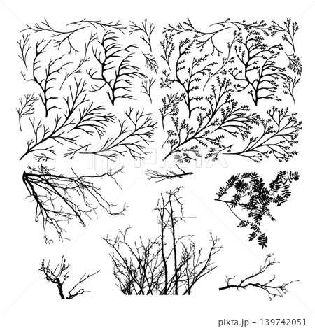Set of branches Hand drawn. Not AI, vector illustration. Set of branches Hand drawn. Not AI, vector illustration. 139742051