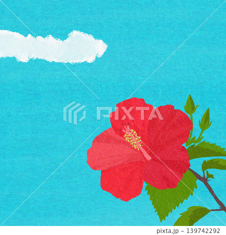 手描きの花のイラスト ハイビスカス 手描きの花のイラスト ハイビスカス 139742292