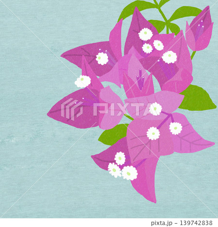 手描きの花のイラスト　ブーゲンビリア 139742838