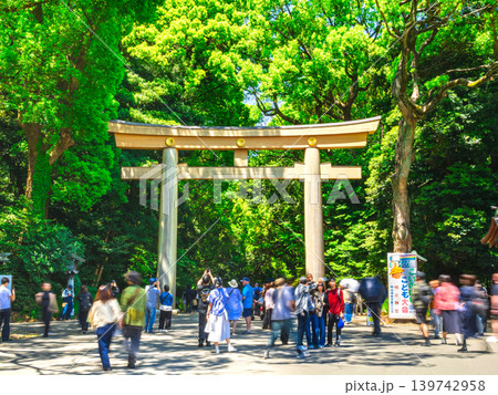 新緑の明治神宮　南参道　※一部ソフトフォーカス 139742958
