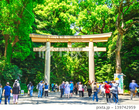 新緑の明治神宮 南参道 ※一部ソフトフォーカス 新緑の明治神宮 南参道 ※一部ソフトフォーカス 139742959