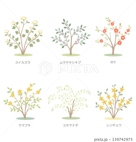 日本の樹木イラストセット 139742973