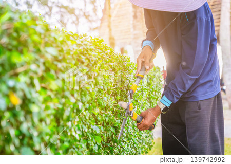 A gardener trims a green shrub with scissors. The activity takes place outdoors during the day. The gardener focuses on shaping the hedge carefully. High quality photo 139742992